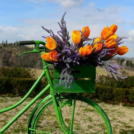 Bike Vintage Tuscany - Countryside With Pool * Selvatelle